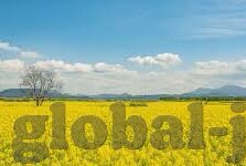 2018动漫伦理片在线-2018年动漫伦理片，艺术与道德的交织