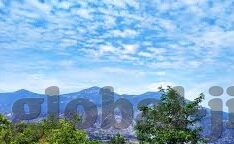 糖心app免费版安卓-享受纯粹的娱乐，糖心app免费版安卓体验分享