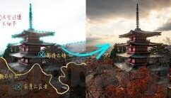 糖心官网在线观看-糖心官网，窥探网络世界的新窗口